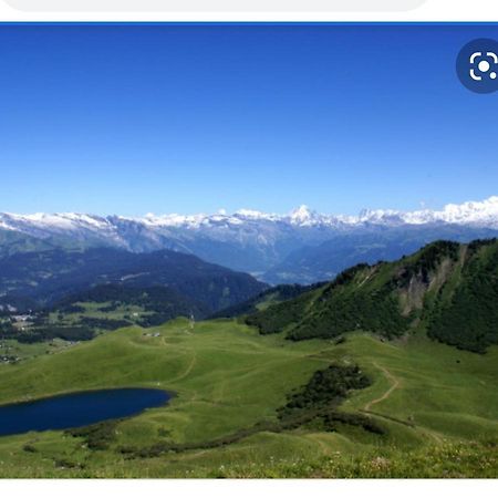 Studio Cabine Praz De Lys Taninges Exterior photo