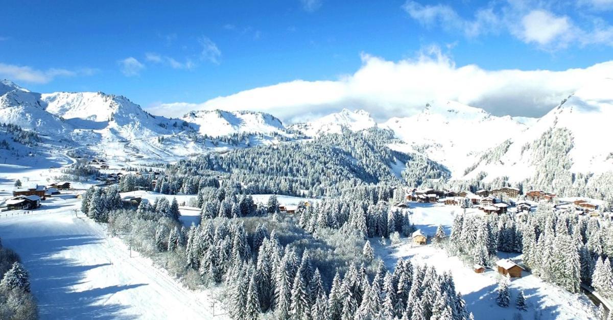 Studio Cabine Praz De Lys Taninges Exterior photo