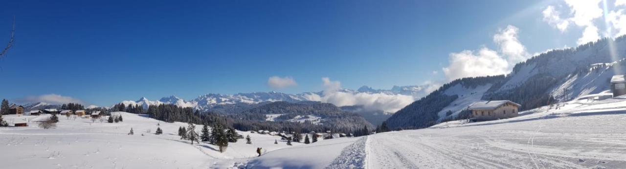 Studio Cabine Praz De Lys Taninges Exterior photo