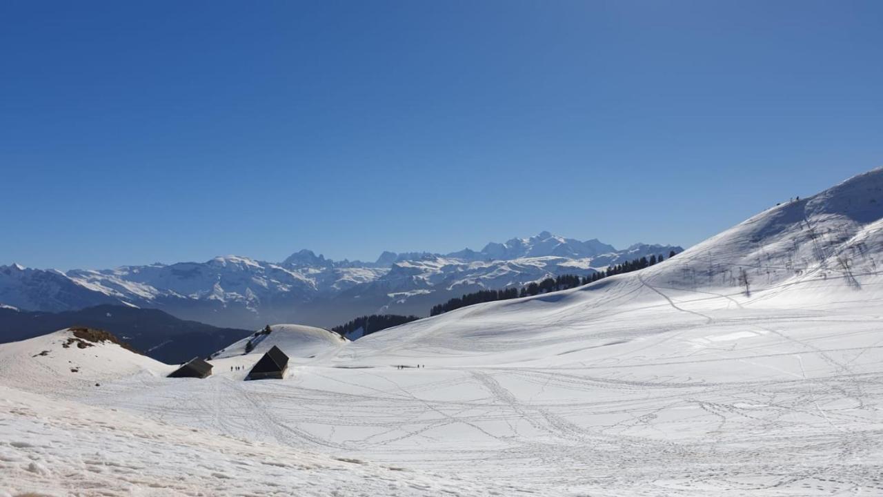 Studio Cabine Praz De Lys Taninges Exterior photo