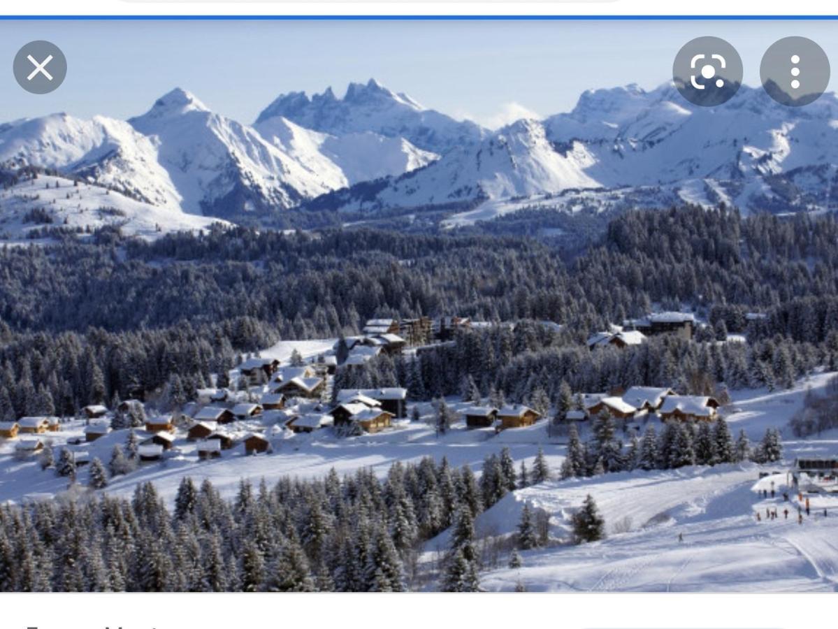 Studio Cabine Praz De Lys Taninges Exterior photo