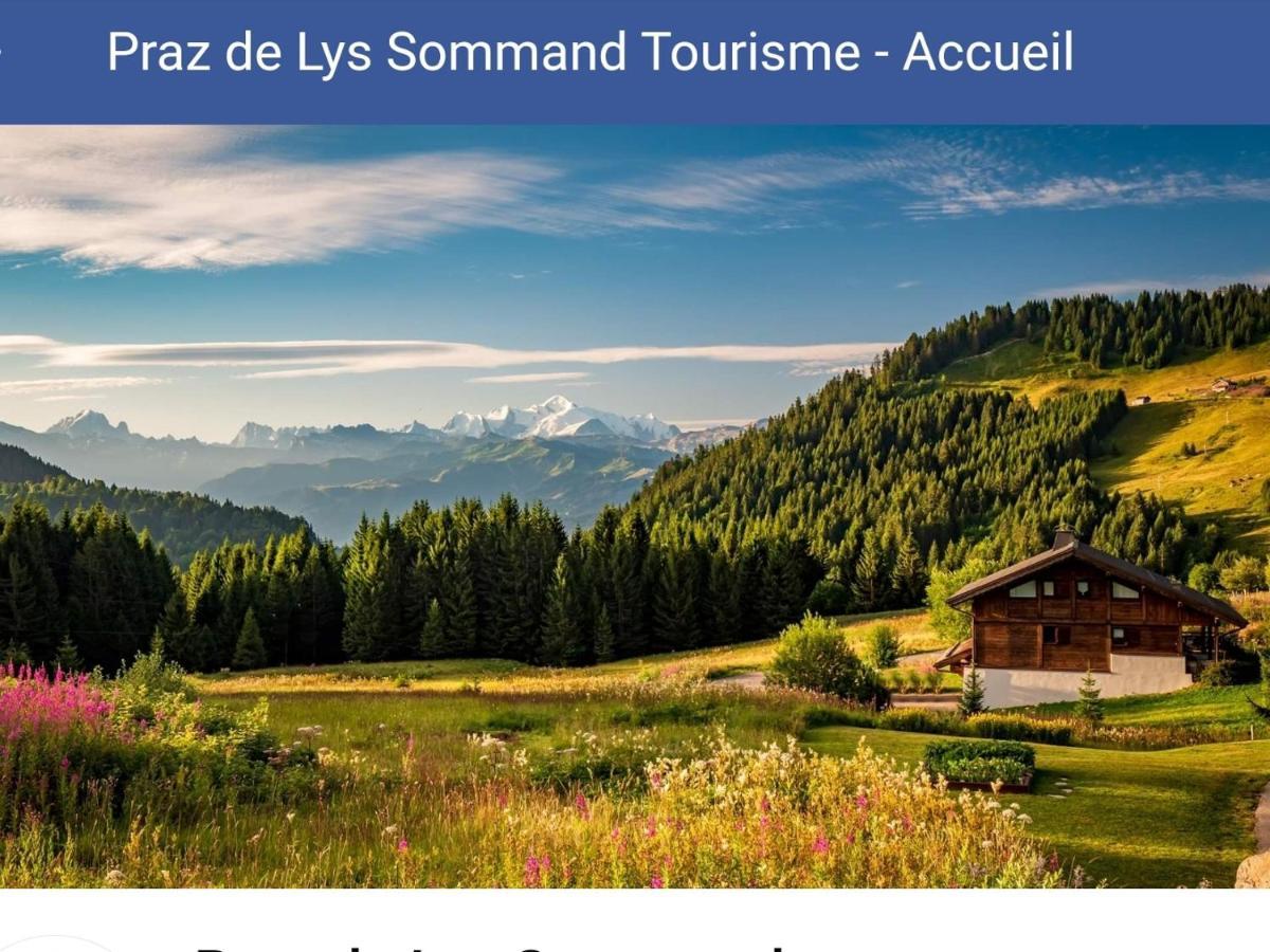 Studio Cabine Praz De Lys Taninges Exterior photo